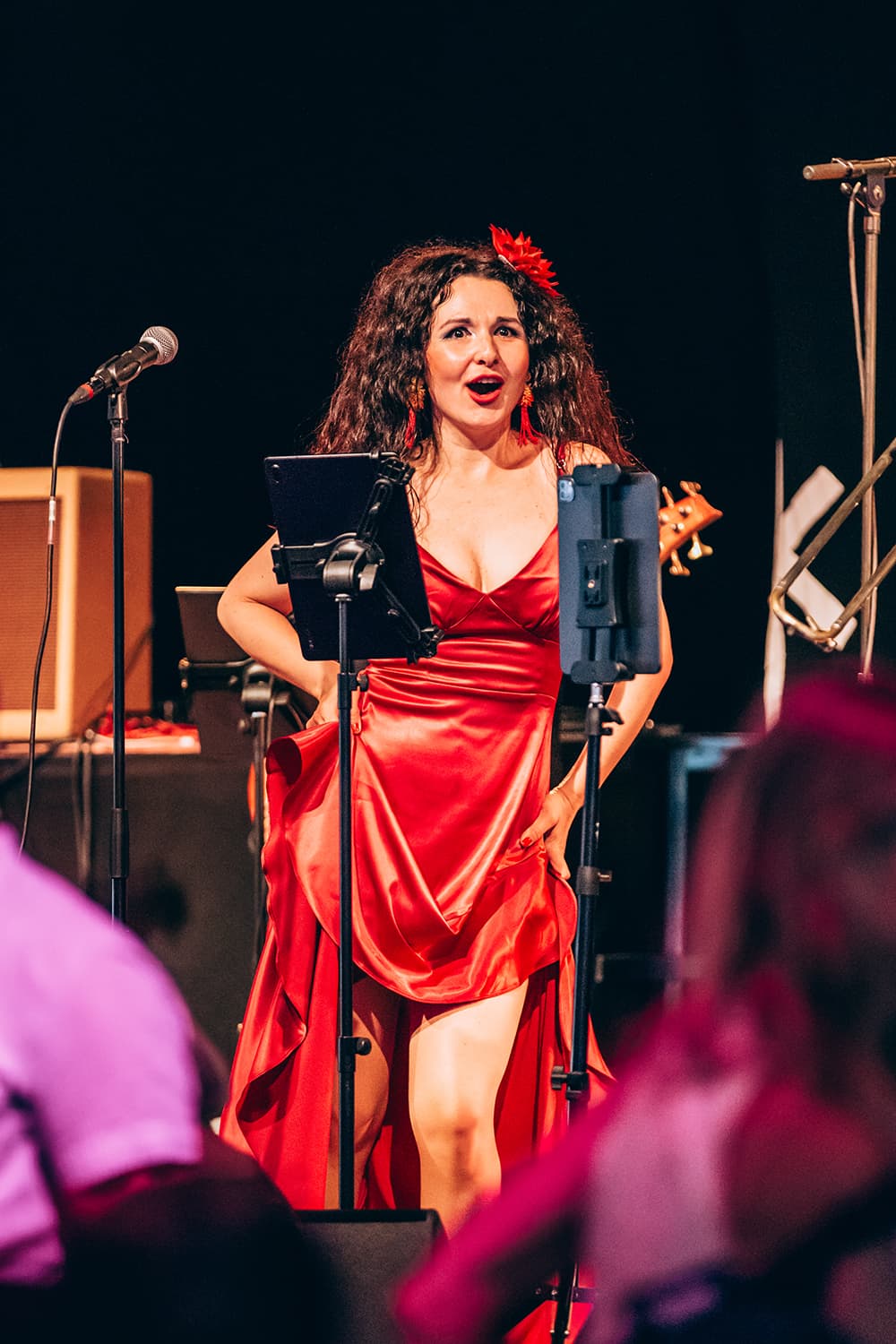 Ana of Brass Tacks Live Band, Vocals
